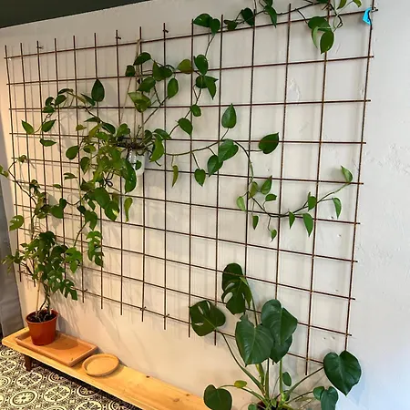 Appartement Herzstueck