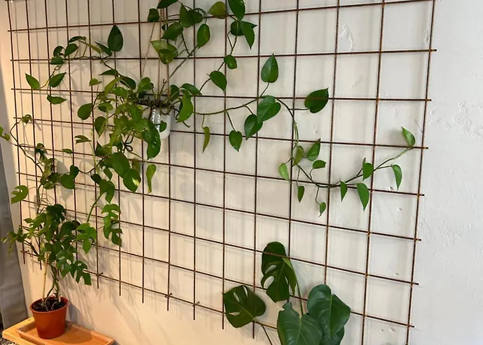 Apartment Herzstueck